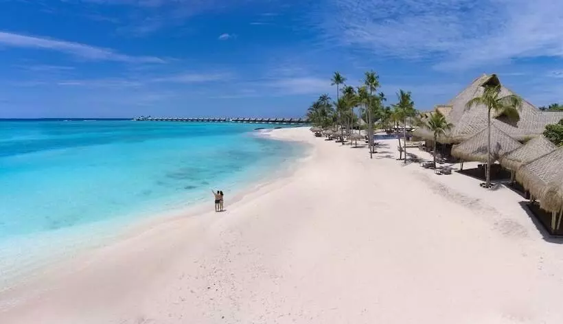 Hotelli Emerald Maldives Resort & Spa   All Inclusive