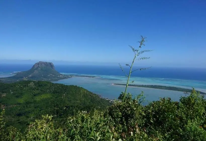 تختخواب و صبحانه Sweet Island