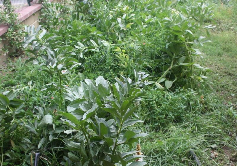 فندق Barnet House Lamezia