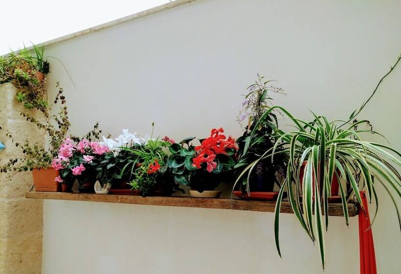 Szálloda Casa Della Nonna Polignano A Mare