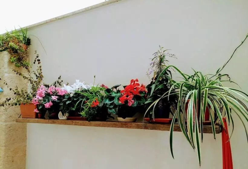 ホテル Casa Della Nonna Polignano A Mare