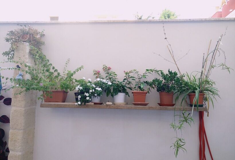 Szálloda Casa Della Nonna Polignano A Mare