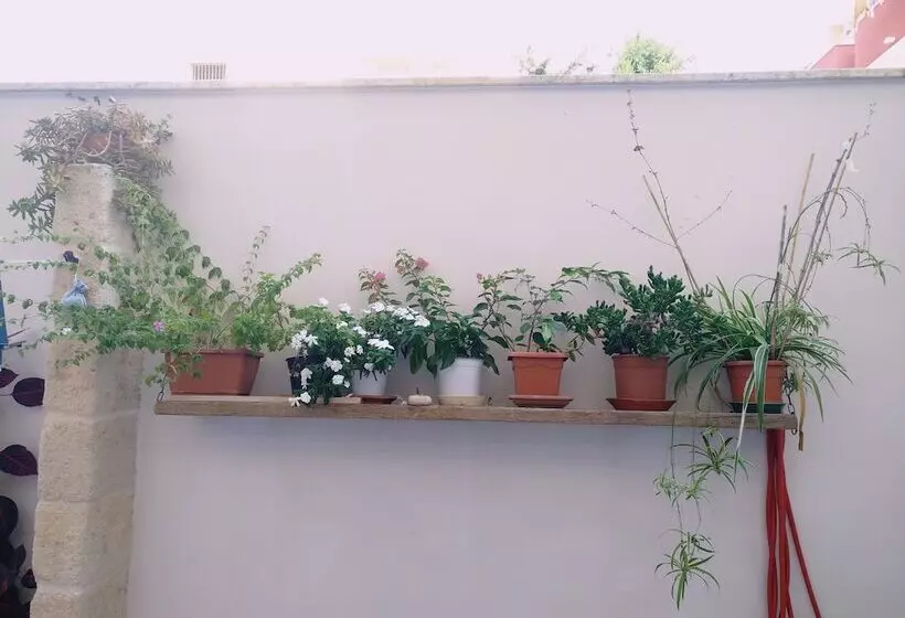 ホテル Casa Della Nonna Polignano A Mare