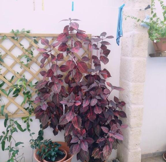 Szálloda Casa Della Nonna Polignano A Mare