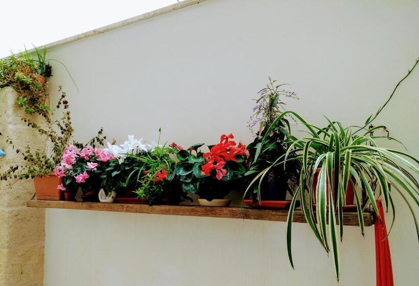 Szálloda Casa Della Nonna Polignano A Mare