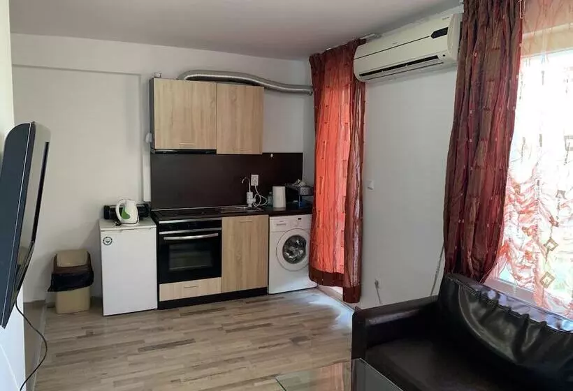 ホテル Samuil Apartments