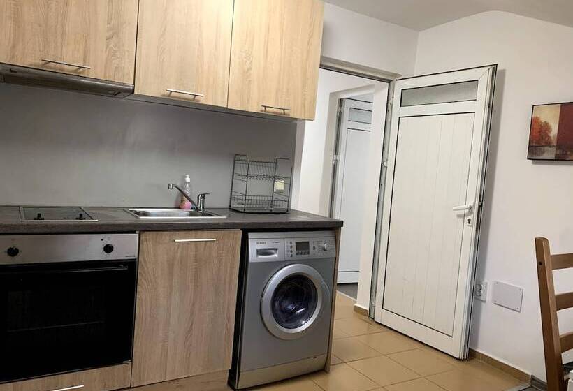 ホテル Samuil Apartments