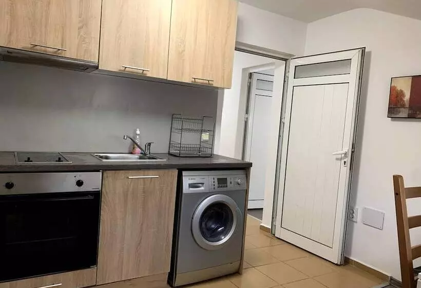 ホテル Samuil Apartments