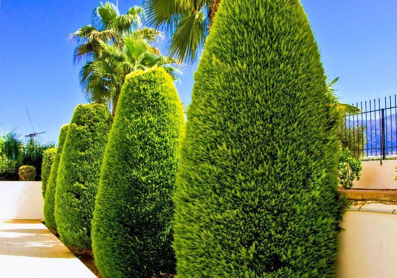 Yiannis Manos Hotel Resort