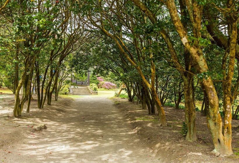 酒店 Casa Dos Barcos Furnas