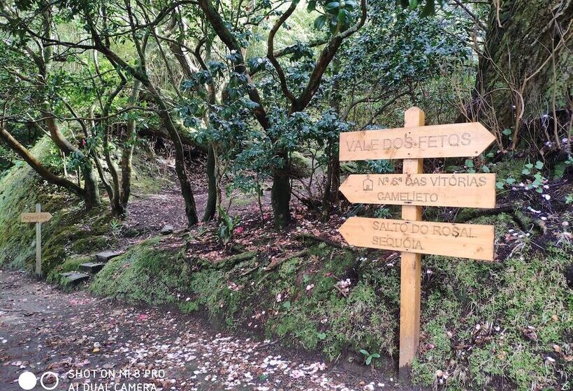 酒店 Casa Dos Barcos Furnas