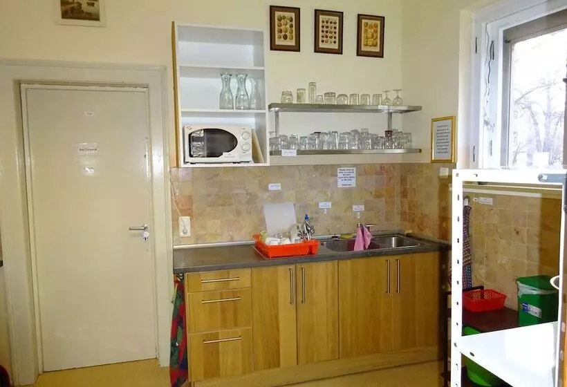 Hotelli Hummel Hostel   Historische Stadtvilla Mit Garten