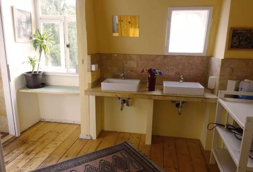 Hotelli Hummel Hostel   Historische Stadtvilla Mit Garten