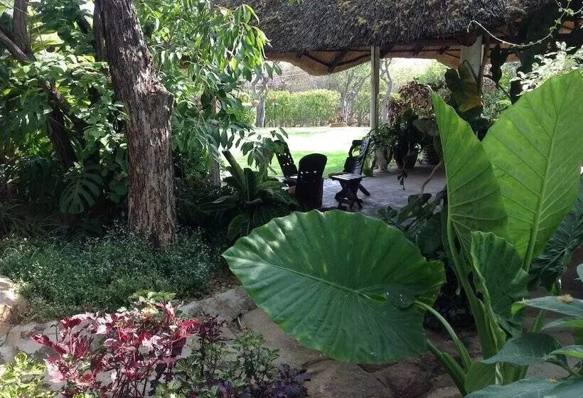 هتل Lynn S Guest House