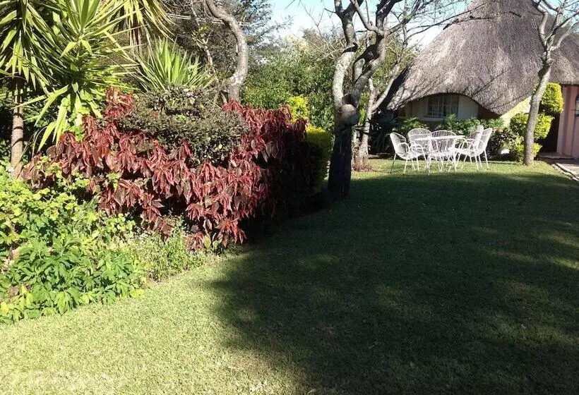 هتل Lynn S Guest House