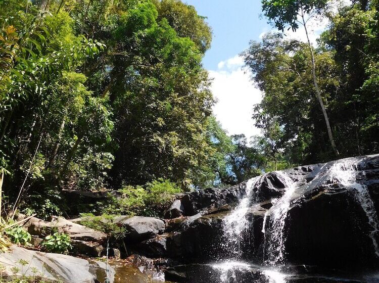 호텔 New Paradise Home Resort