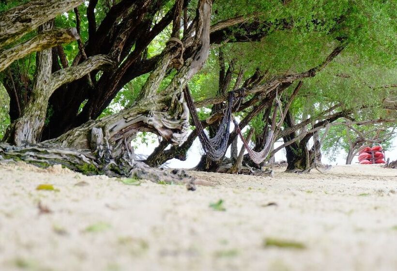 호텔 New Paradise Home Resort