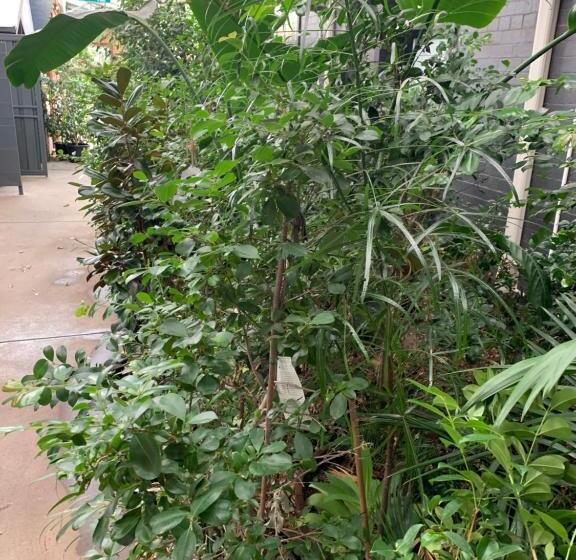 Crown Central Business District Motel   No Under 18s