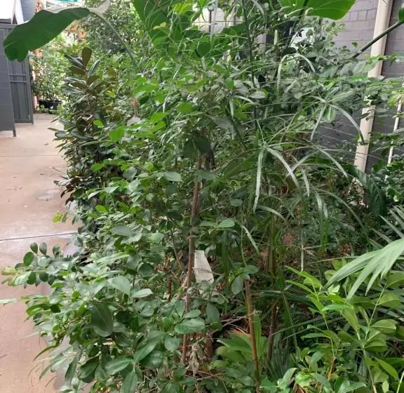 Crown Central Business District Motel   No Under 18s