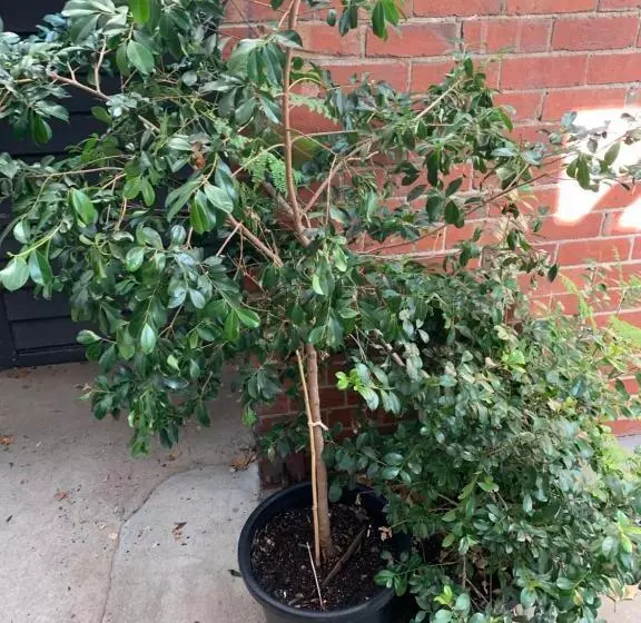 Crown Central Business District Motel   No Under 18s