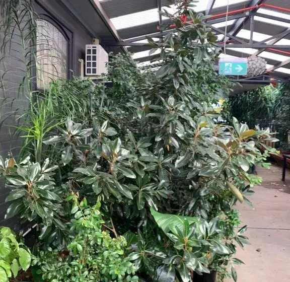 Crown Central Business District Motel   No Under 18s