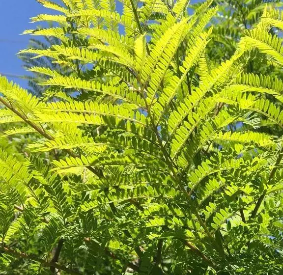 Crown Central Business District Motel   No Under 18s