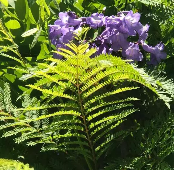 Crown Central Business District Motel   No Under 18s