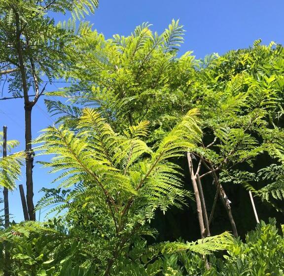 Crown Central Business District Motel   No Under 18s