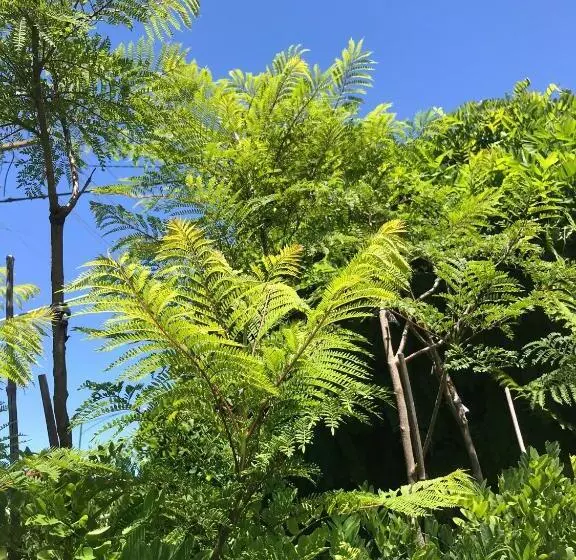 Crown Central Business District Motel   No Under 18s