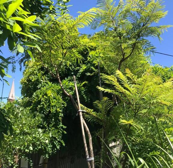 Crown Central Business District Motel   No Under 18s