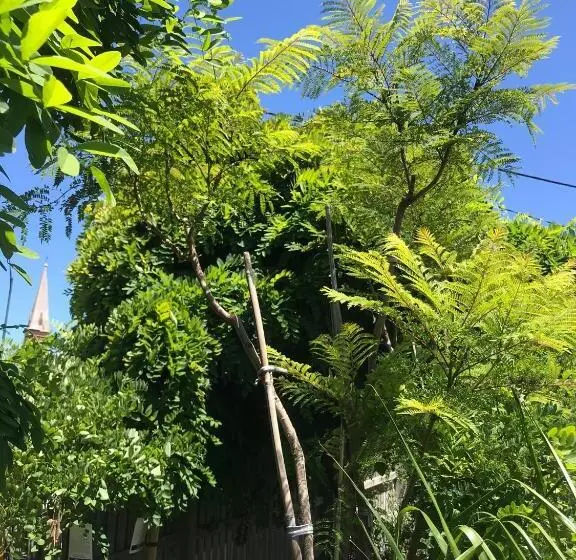 Crown Central Business District Motel   No Under 18s