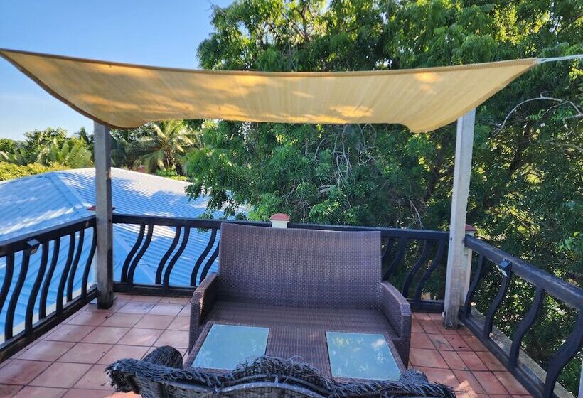 ホテル Caribbean Shores Bed & Breakfast