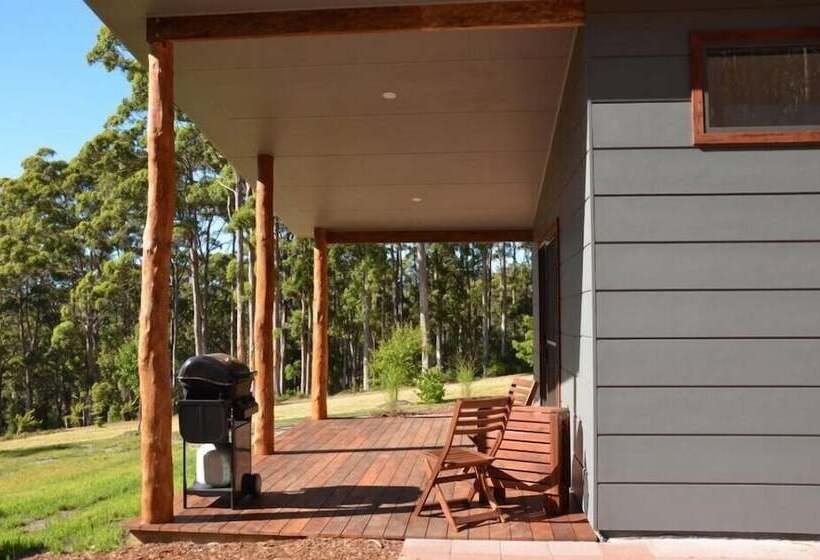 Отель The Floating Forest