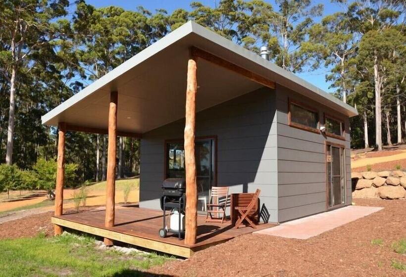 Отель The Floating Forest