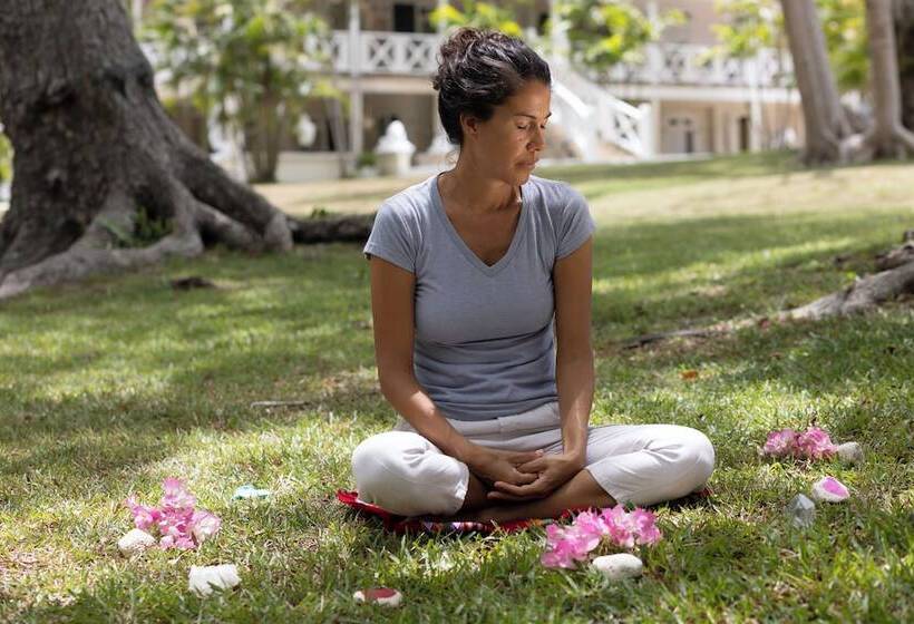 酒店 We Stay Well Sanctuary Barbados   Wellness In Paradise
