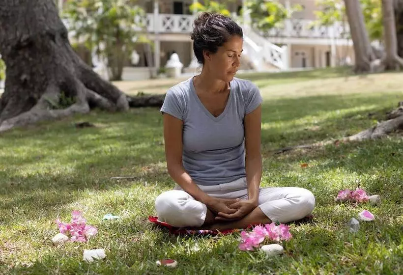 هتل We Stay Well Sanctuary Barbados   Wellness In Paradise