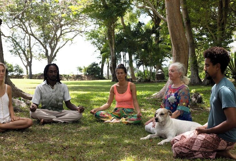 酒店 We Stay Well Sanctuary Barbados   Wellness In Paradise