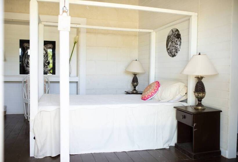 酒店 We Stay Well Sanctuary Barbados   Wellness In Paradise