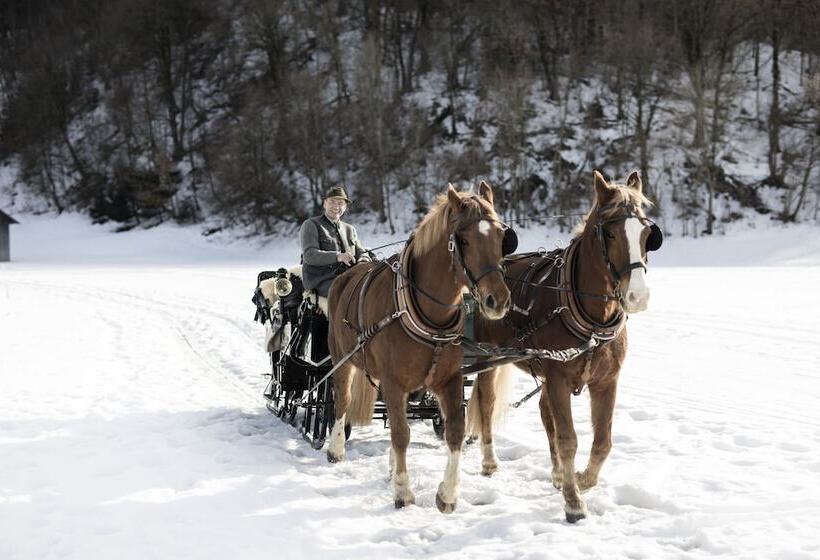 בית מלון כפרי Werdenfelserei