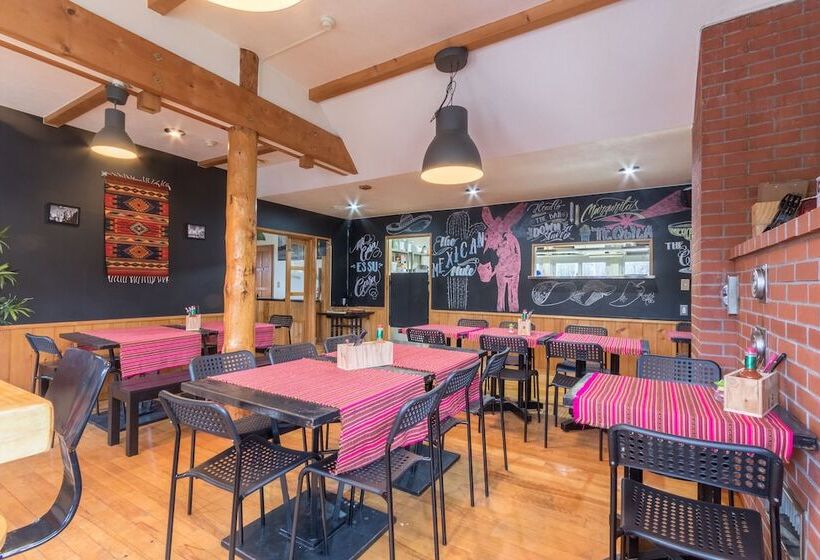 호텔 Freeride Backpackers Lodge Niseko