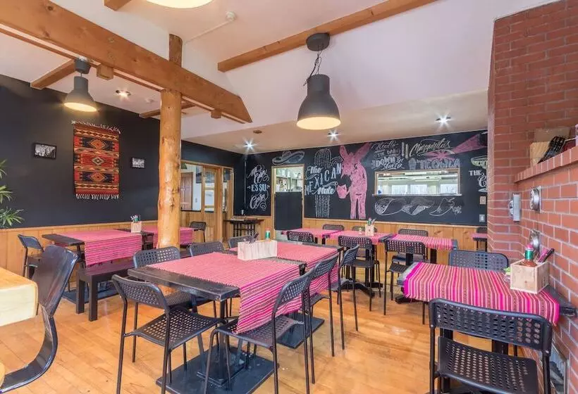 ホテル Freeride Backpackers Lodge Niseko