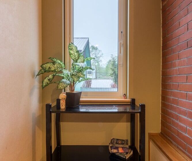 호텔 Freeride Backpackers Lodge Niseko