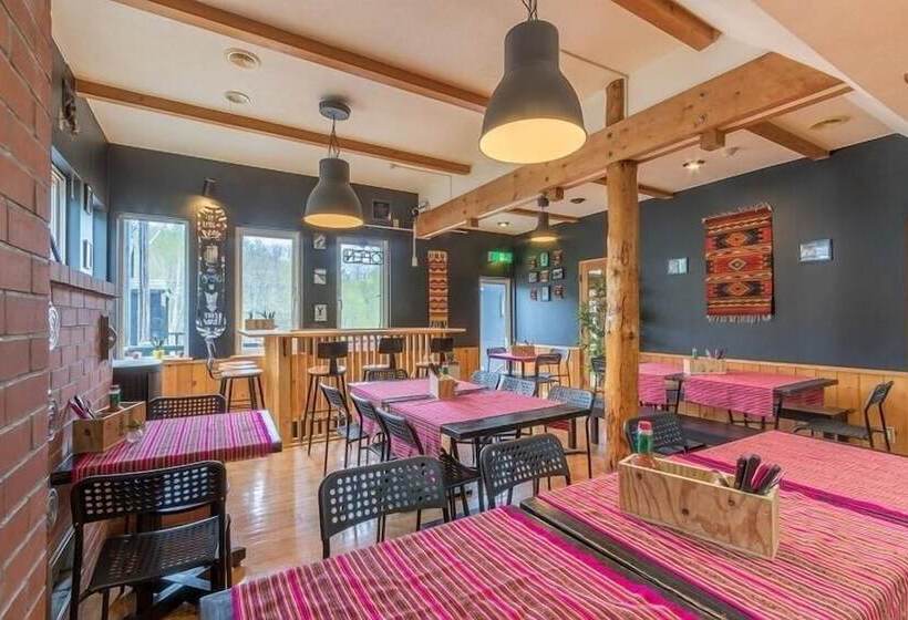 호텔 Freeride Backpackers Lodge Niseko