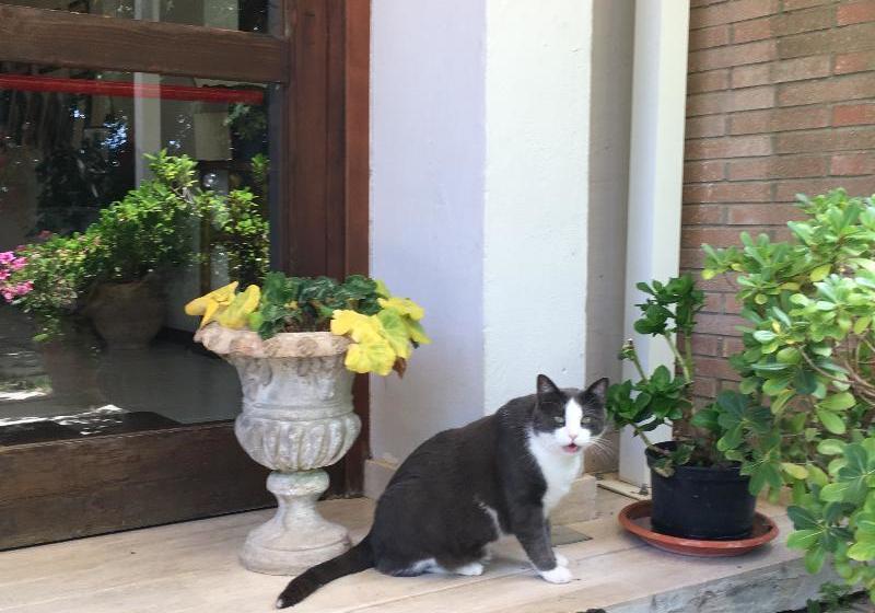 ホテル La Collina Di Collevalenza