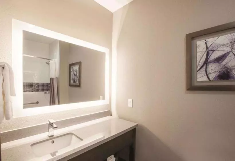 Hotelli La Quinta By Wyndham Kingsville