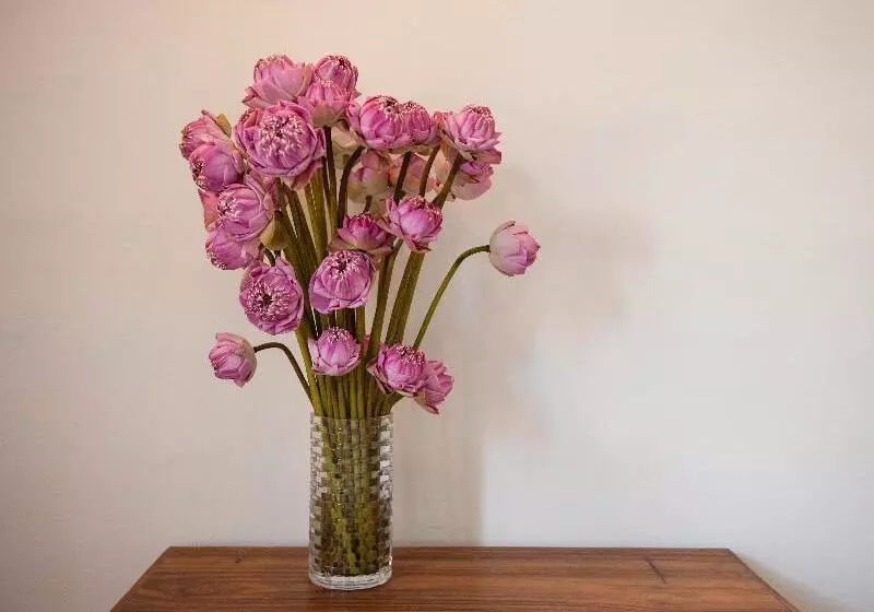 هتل Prantara Heritage Suites