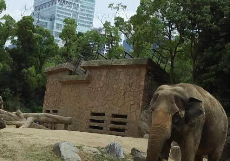 בית מלון כפרי R Guest House