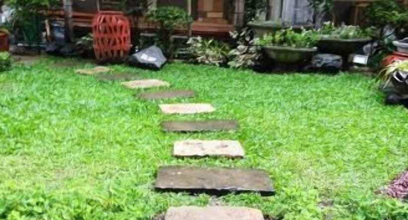 Regency Hotel De Vigan