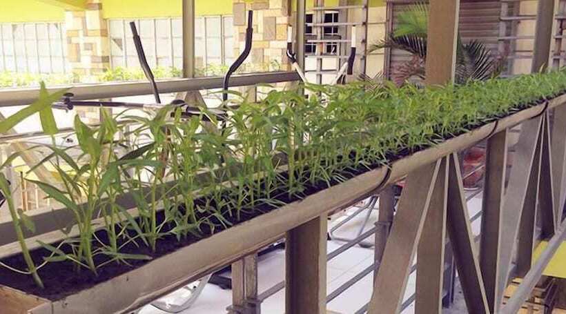 Regency Hotel De Vigan