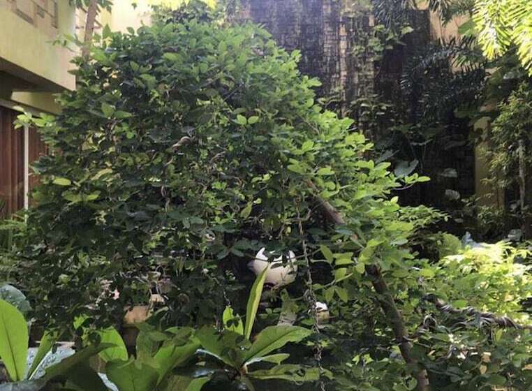 Regency Hotel De Vigan